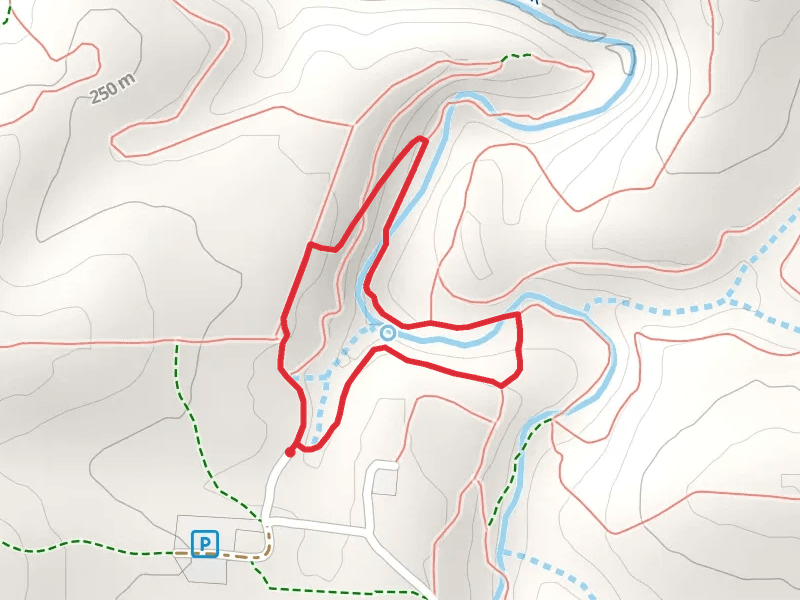 Shawnee Run and Chinquapin Loop Trail
