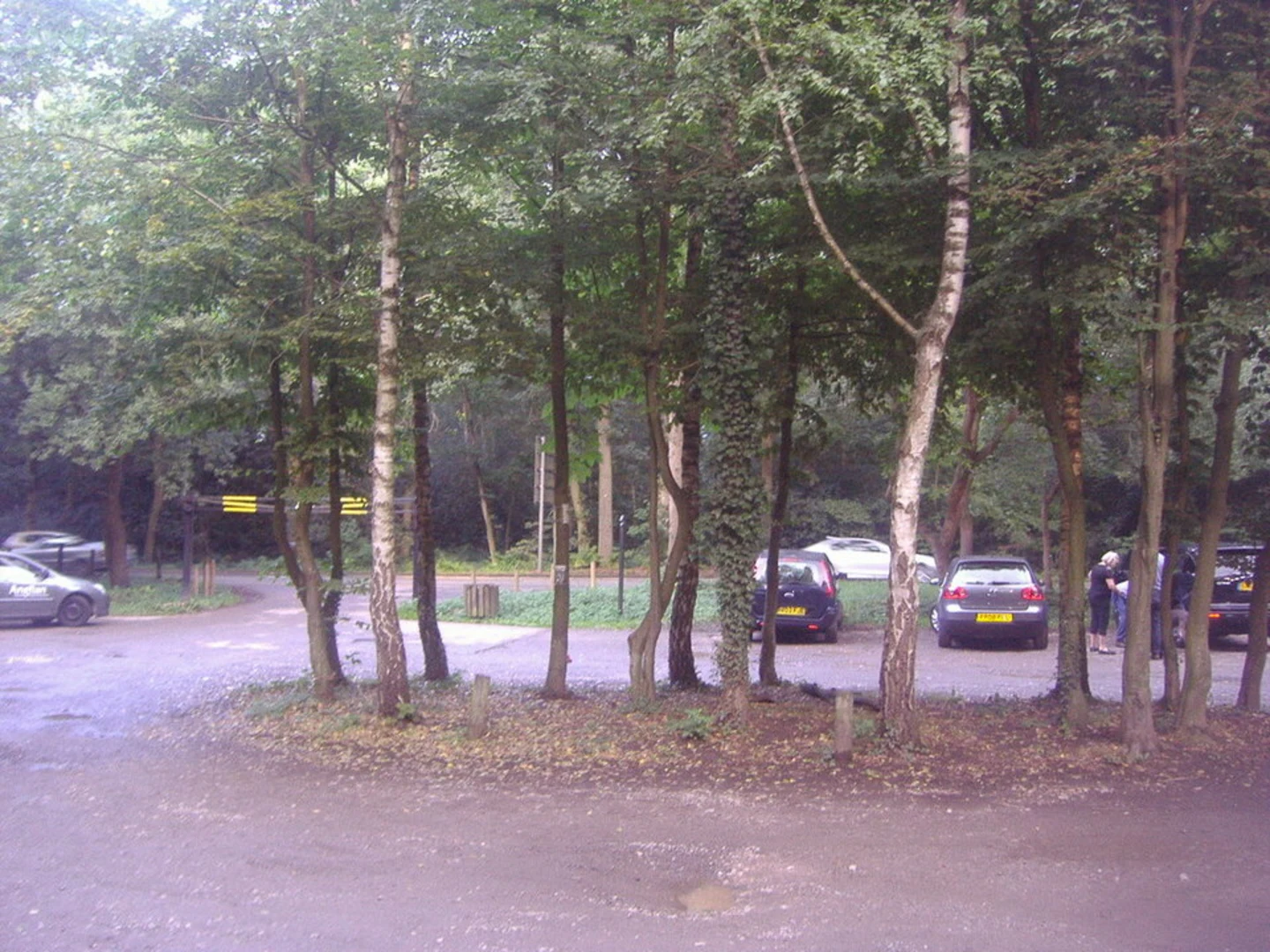 An image depicting the trail Esher Common and its surrounding area.