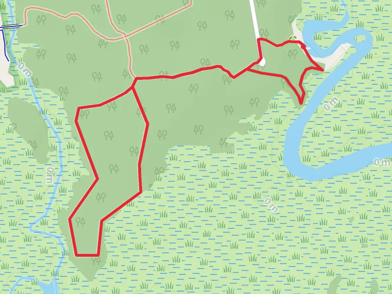 Timucuan Trail System Loop