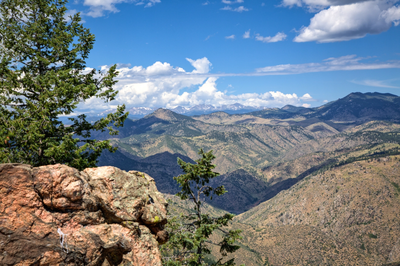 An image depicting the trail Through Gulch Trail and its surrounding area.