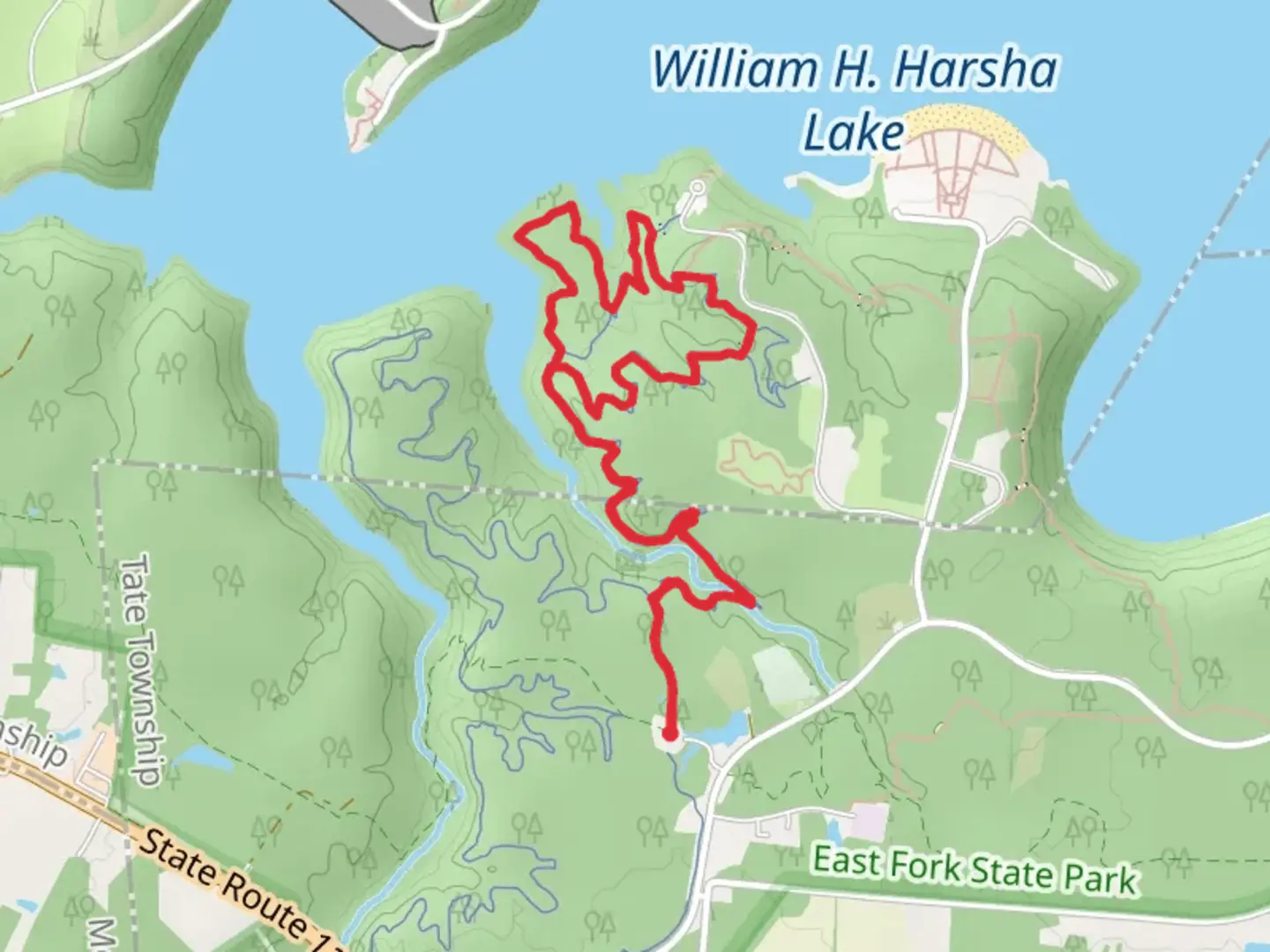 An image depicting the trail Technical and Lake Loop Trail and its surrounding area.