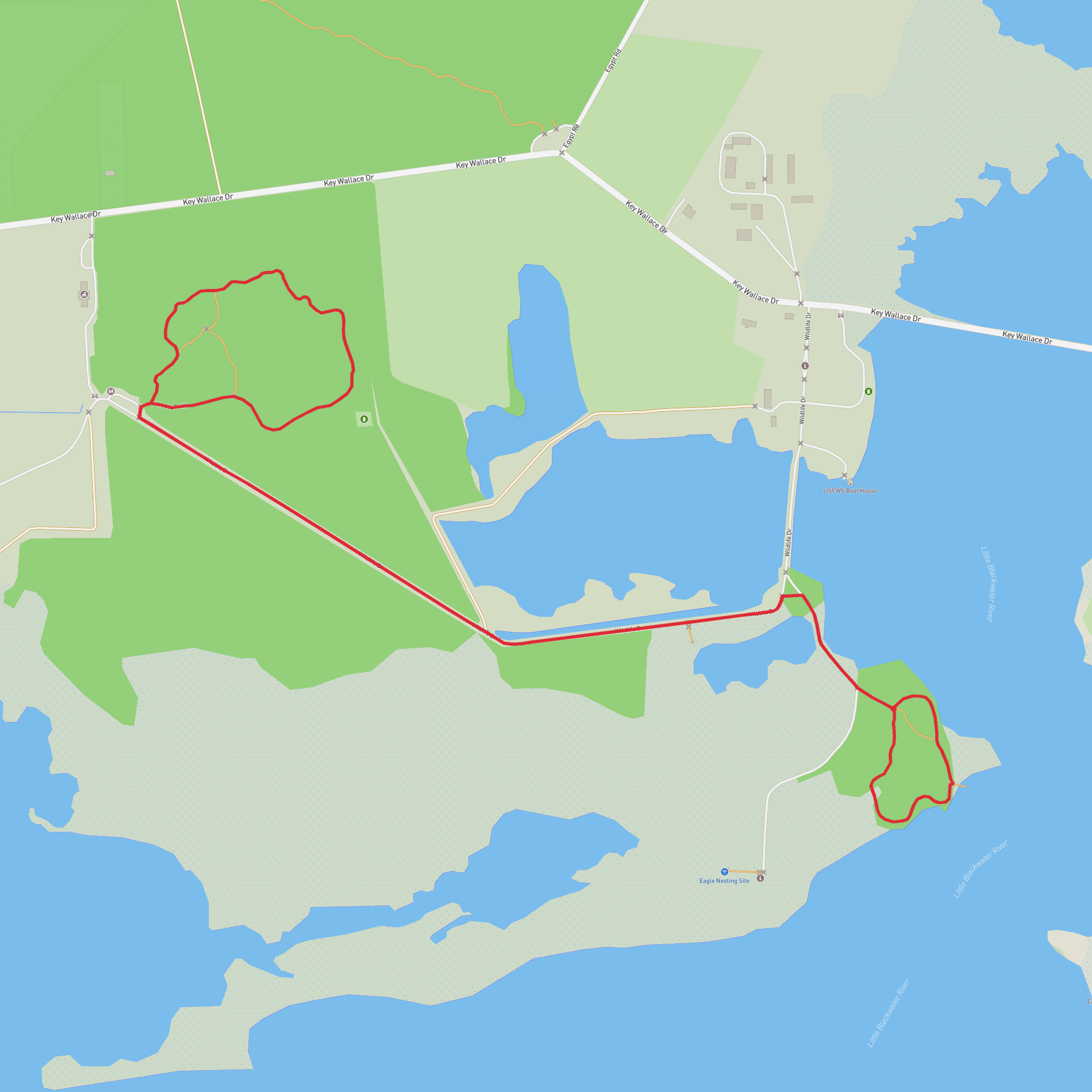 Blackwater River via Marsh Edge Trail and Woods Trail mobile static map