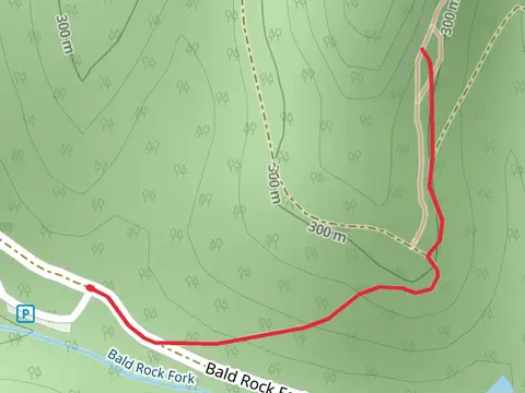 Bald Rock Fork