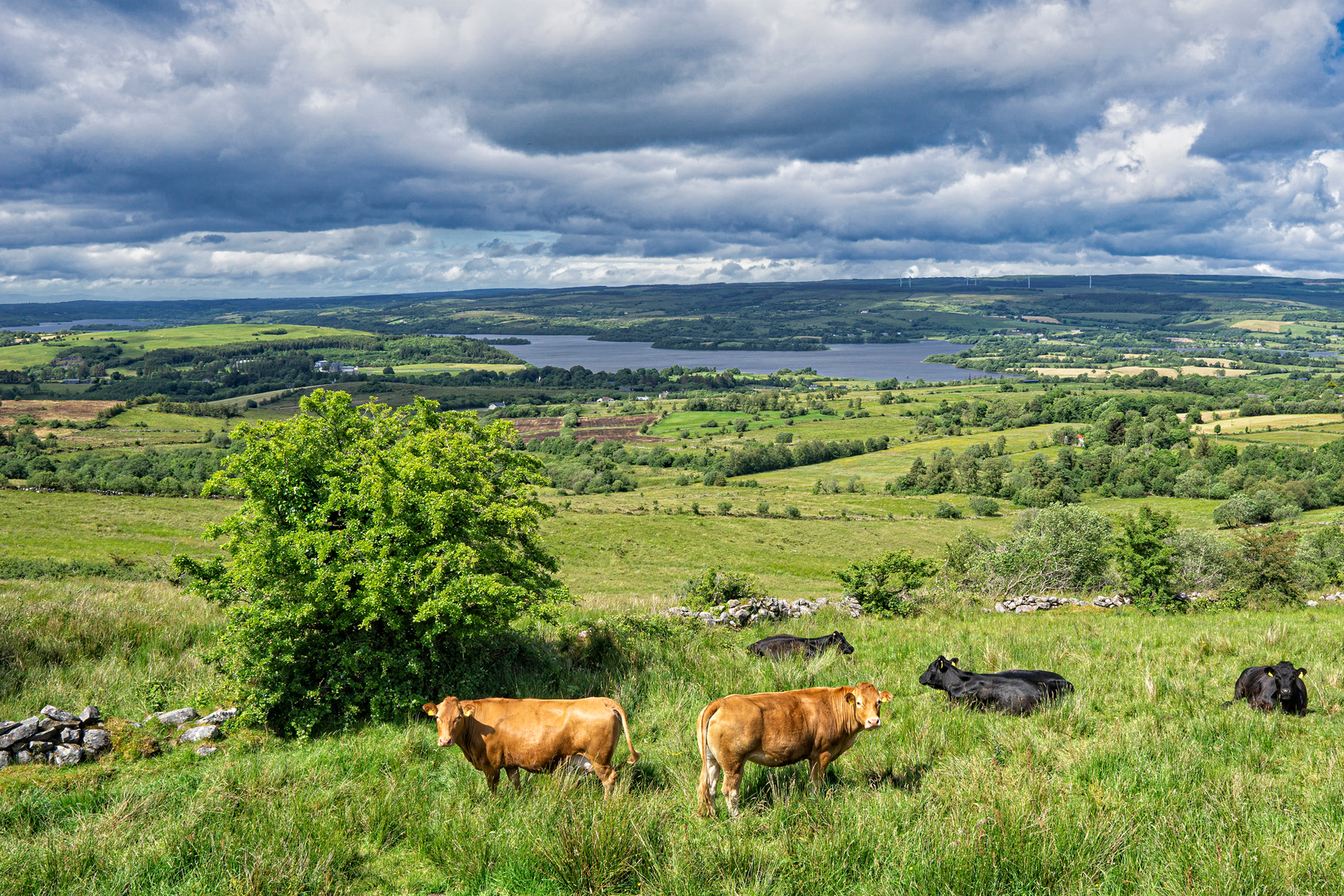 An image depicting the trail Cavan Burren Park - Giant's Leap Trail and its surrounding area.