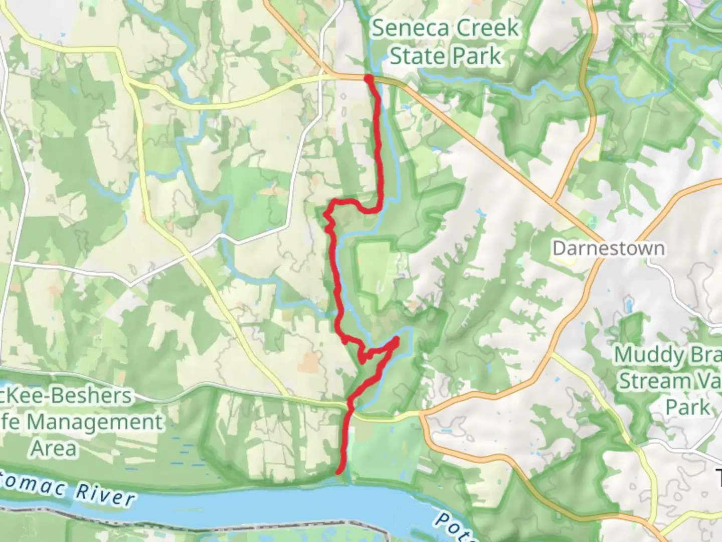 An image depicting the trail Seneca B and its surrounding area.
