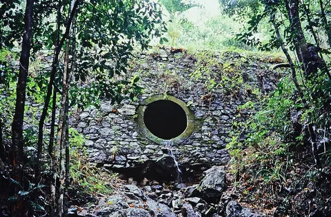 Dalrymple Gap Track