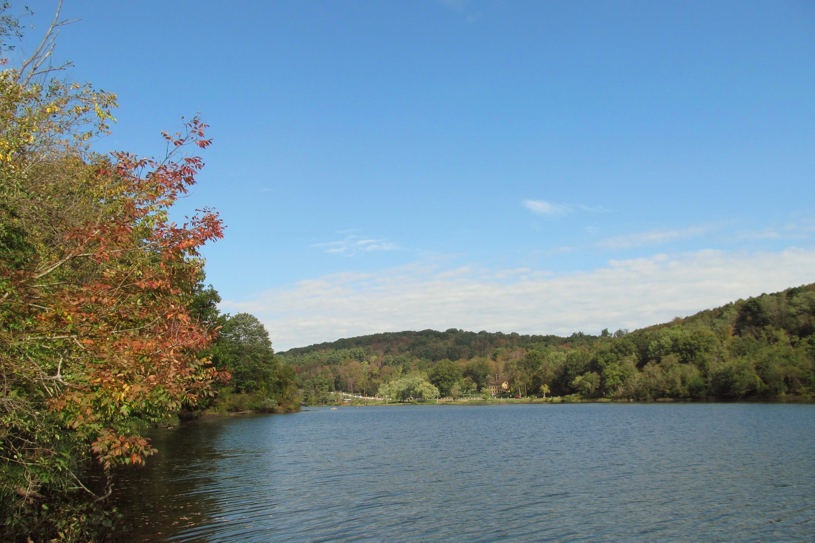An image depicting the trail Wood Field and Donara Field Loop via Rachel Carson Trail and its surrounding area.