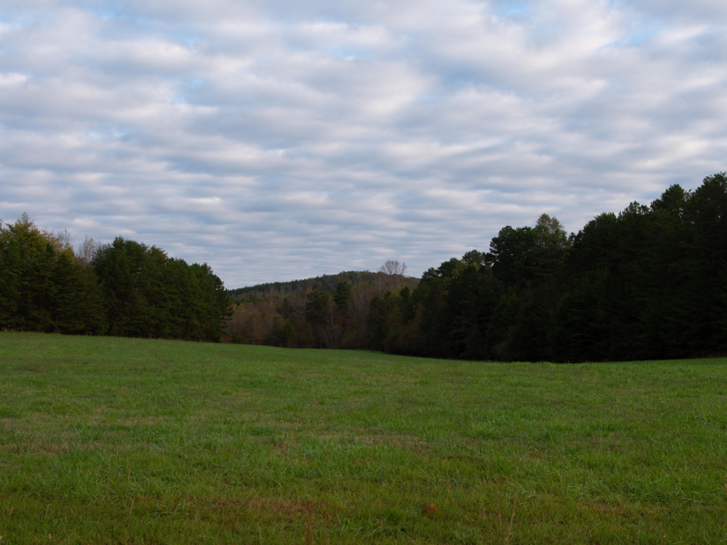 An image depicting the trail Uwharrie Fitness Trail and its surrounding area.