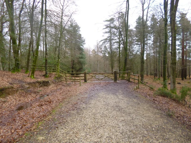 Coppice of Linwood Loop
