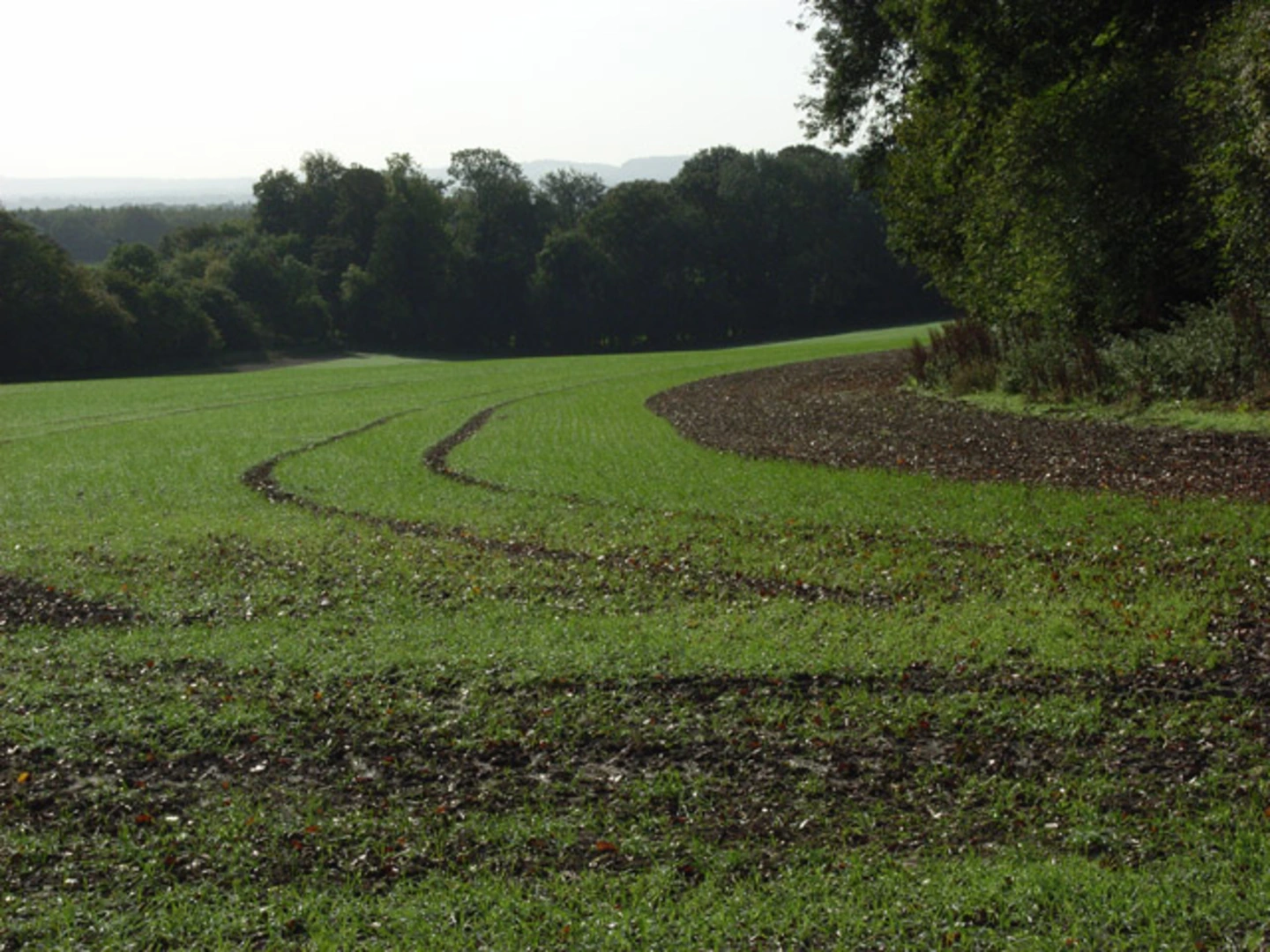 An image depicting the trail Poughley Loop and its surrounding area.