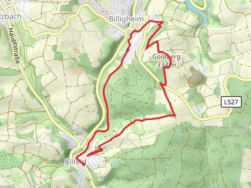 Goldberg Loop via Allfeld