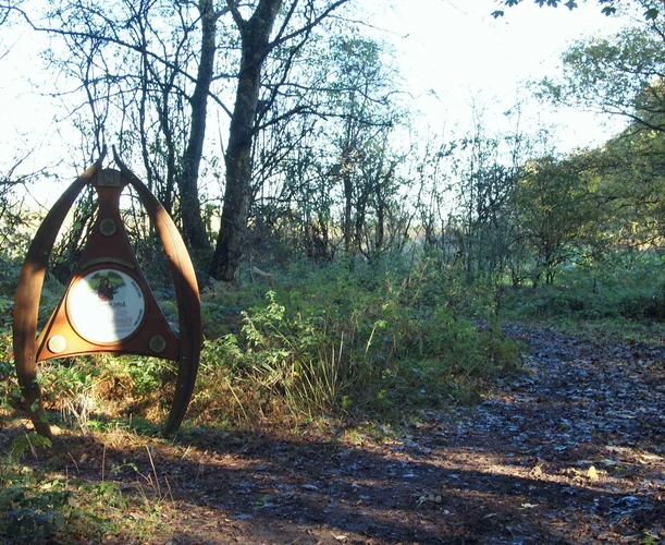 Harlow Wood and Thieves Wood Loop