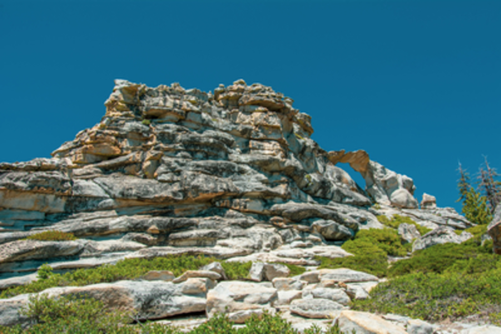 An image depicting the trail The Snow Creek Trail North and its surrounding area.