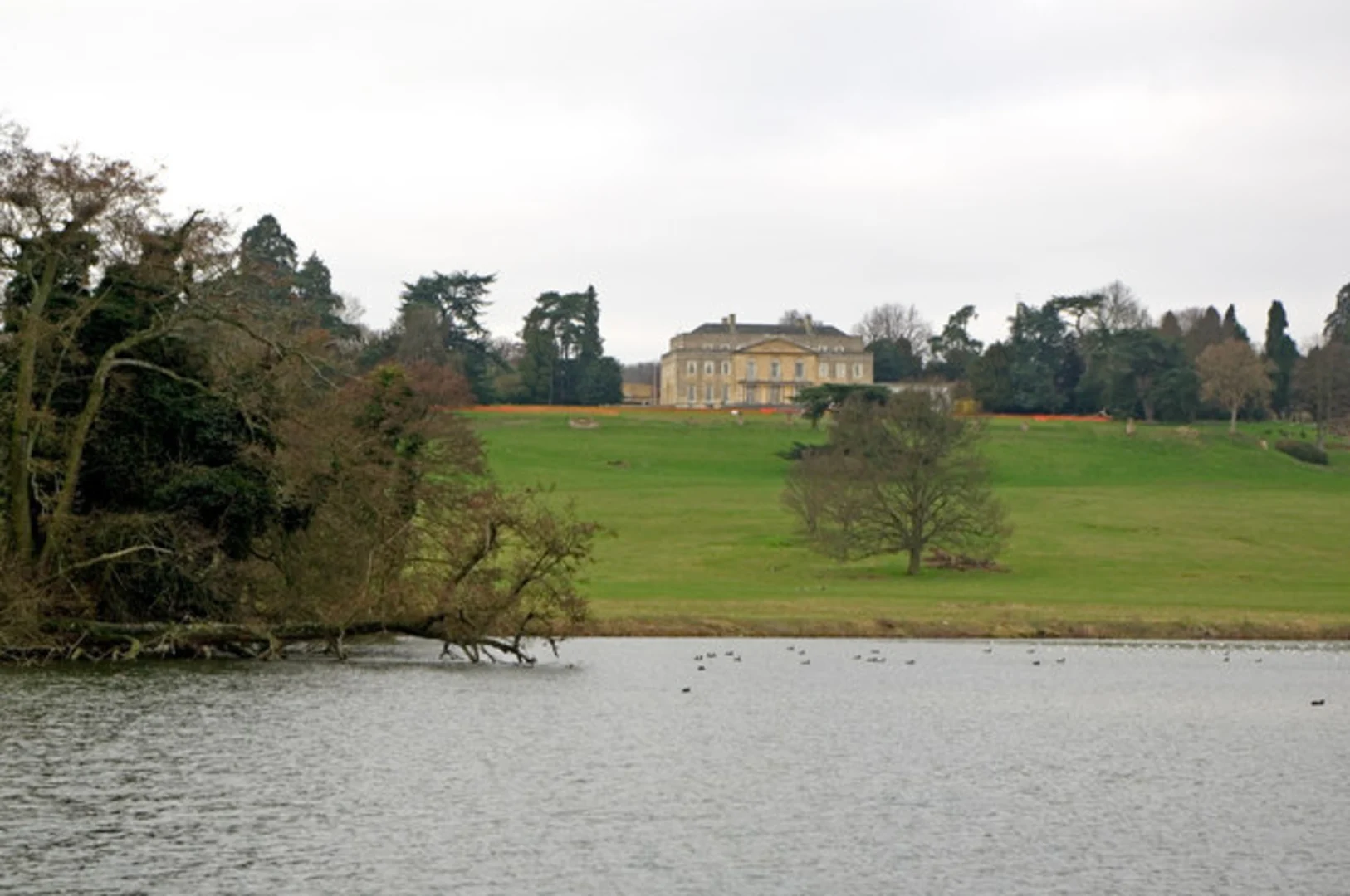 Reigate Hill and Gatton Park Loop | Surrey | England