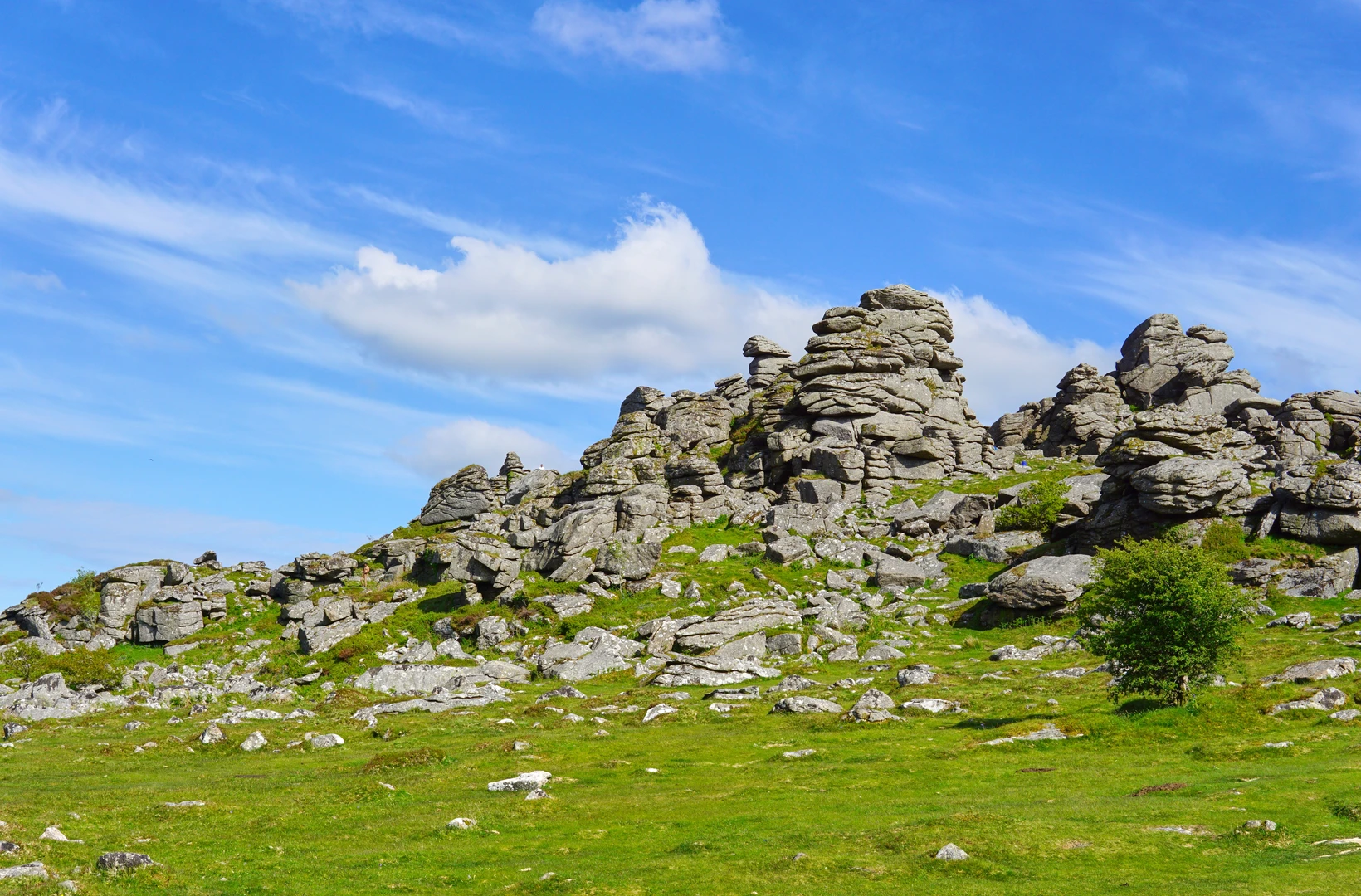 An image depicting the trail Hound Tor, Haytor Down and Haytor Rocks Loop and its surrounding area.