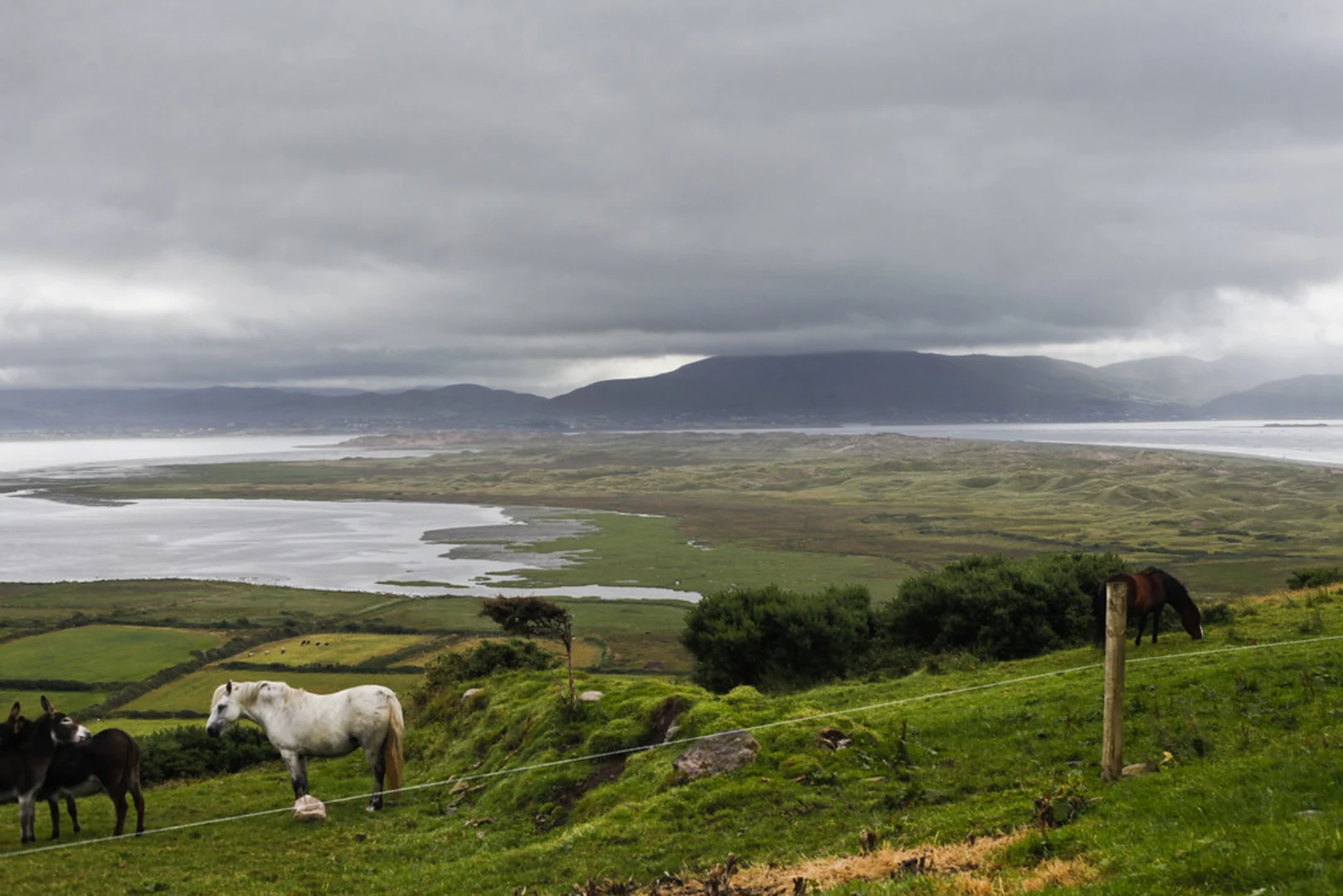 An image depicting the trail Kerry Camino - 3 Day Tour and its surrounding area.