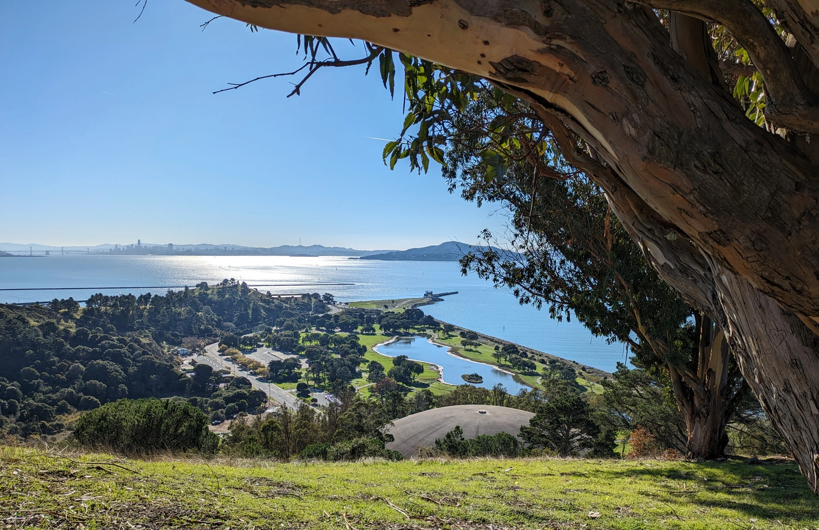 An image depicting the trail Ferry Point Loop Trail and its surrounding area.