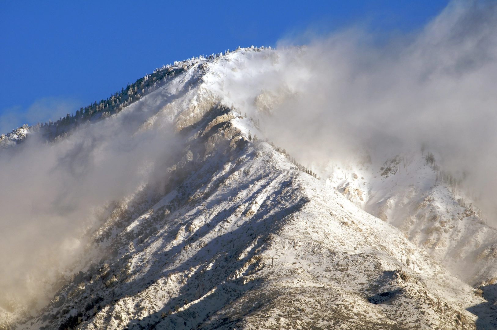 An image depicting the trail Cucamonga Peak via Icehouse Canyon Trail and its surrounding area.