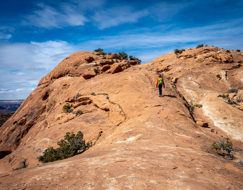 Upheaval Canyon Trail
