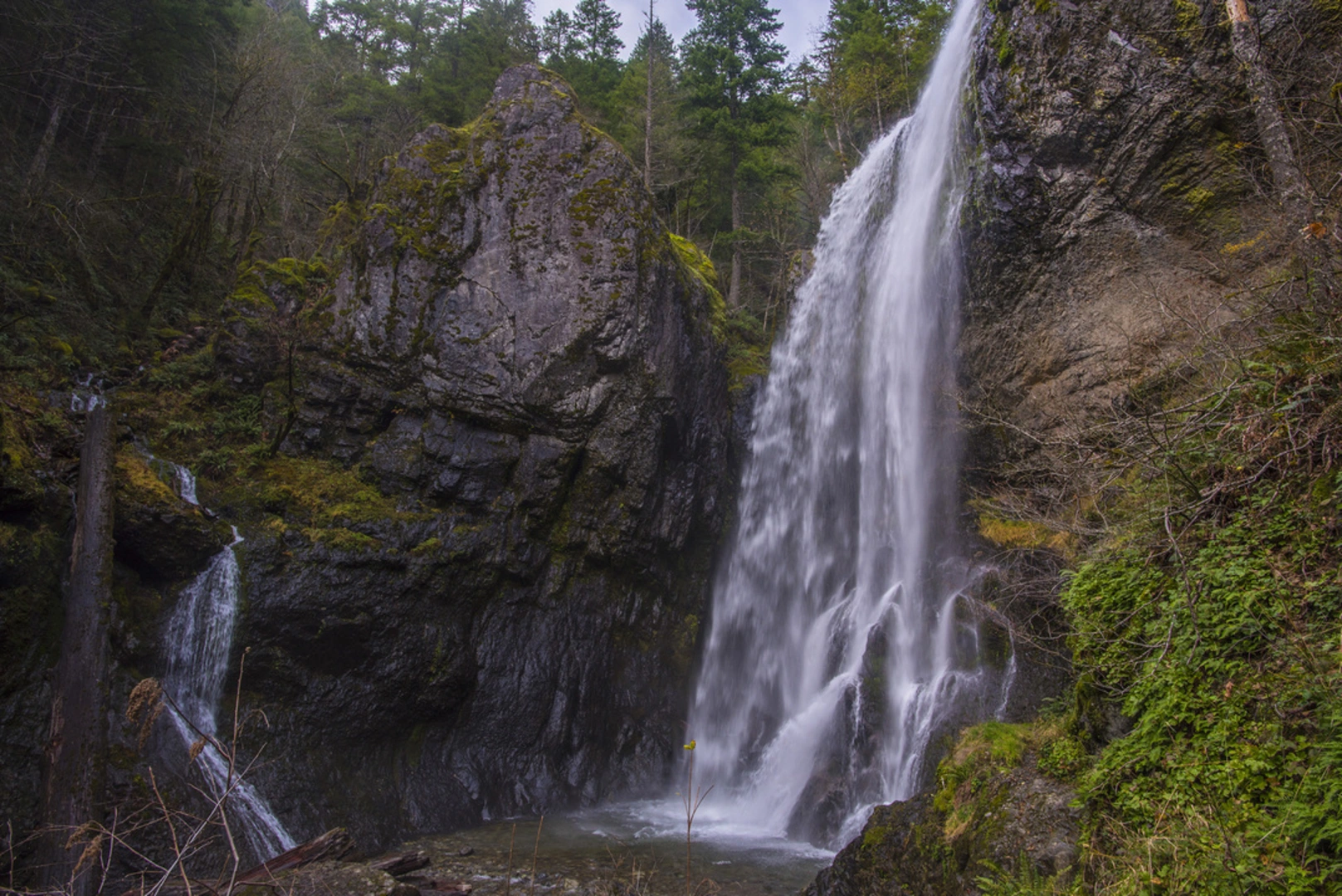 An image depicting the trail Henline Falls Trail and its surrounding area.