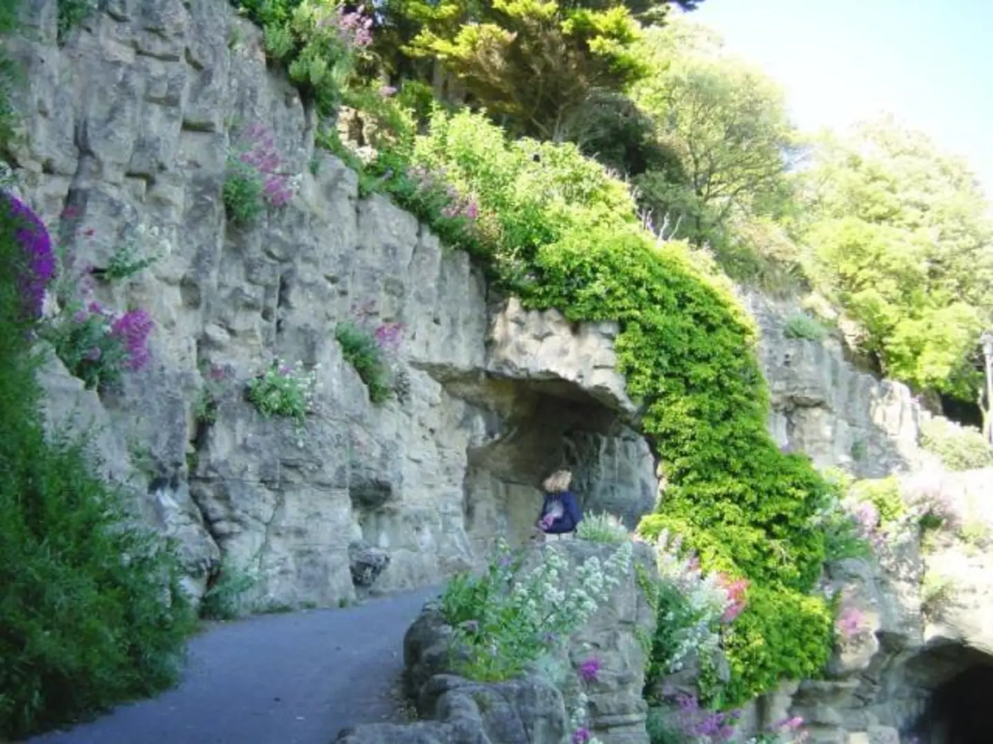 An image depicting the trail Lower Leas Coastal Park and its surrounding area.