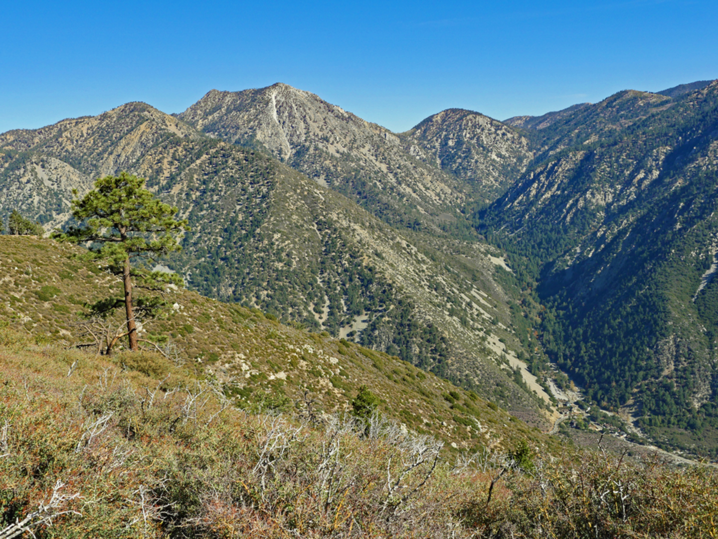 An image depicting the trail Telegraph Peak via Three Ts Trail and its surrounding area.