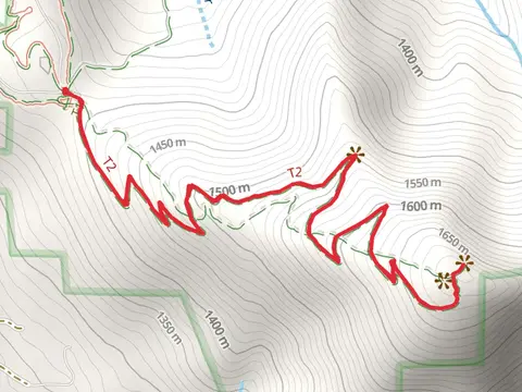 Elk Knob