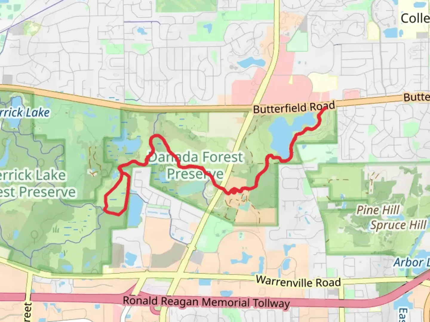 An image depicting the trail Bluebird, Danada-Herrick Lake Regional and Rice Lake Trail and its surrounding area.