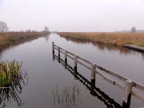 Woldlakebos and Boonspolder Loop via Meente Weg and Hooge Weg