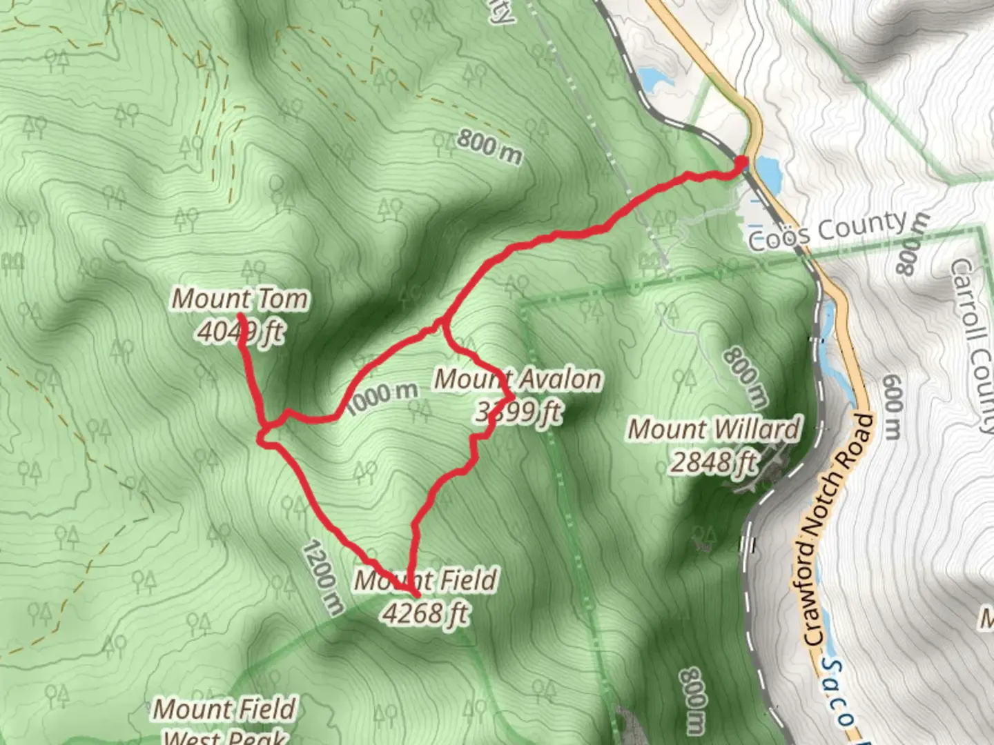 An image depicting the trail Mount Avalon, Mount Field and Mount Tom Loop and its surrounding area.