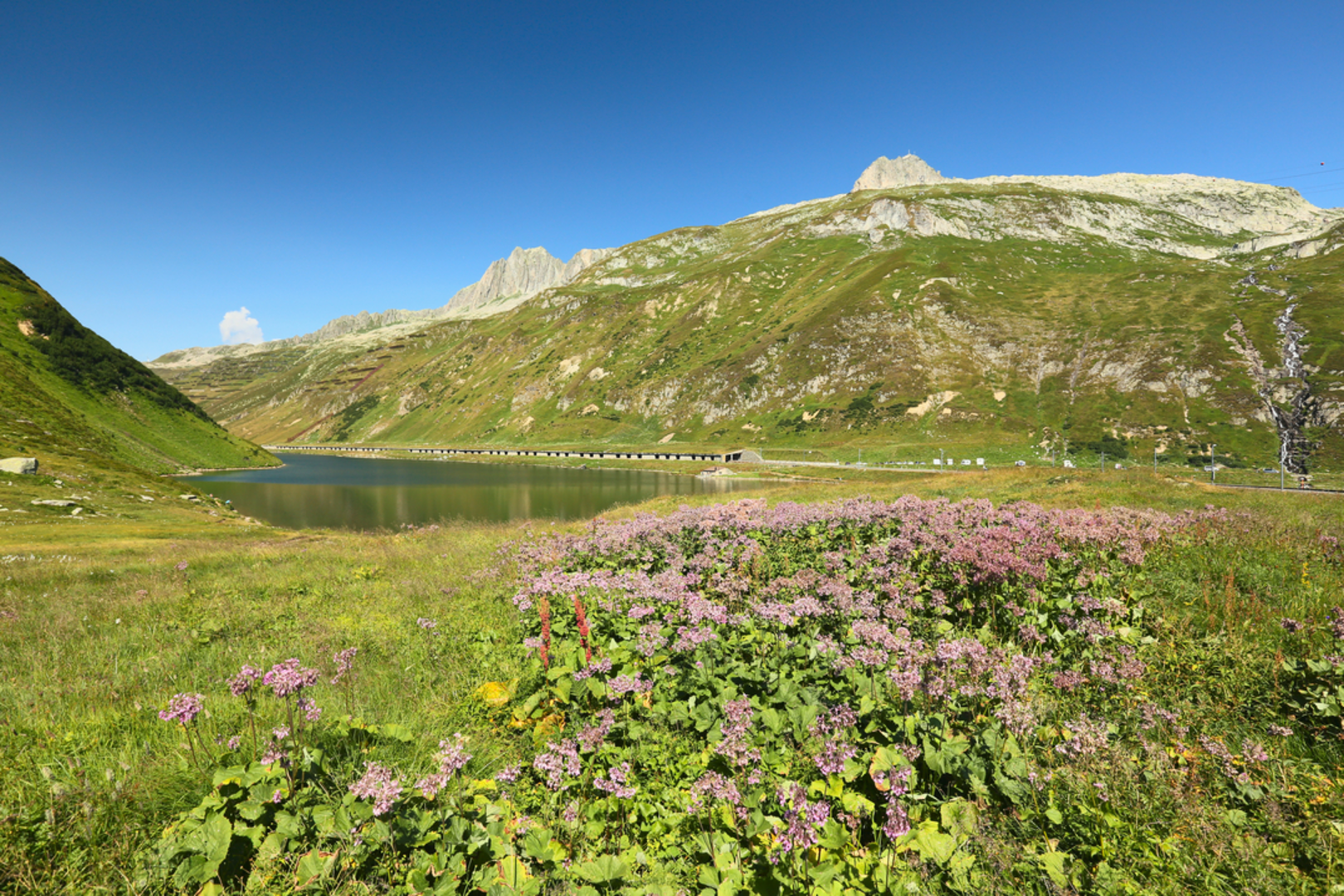 An image depicting the trail Vier-Quellen-Weg and its surrounding area.