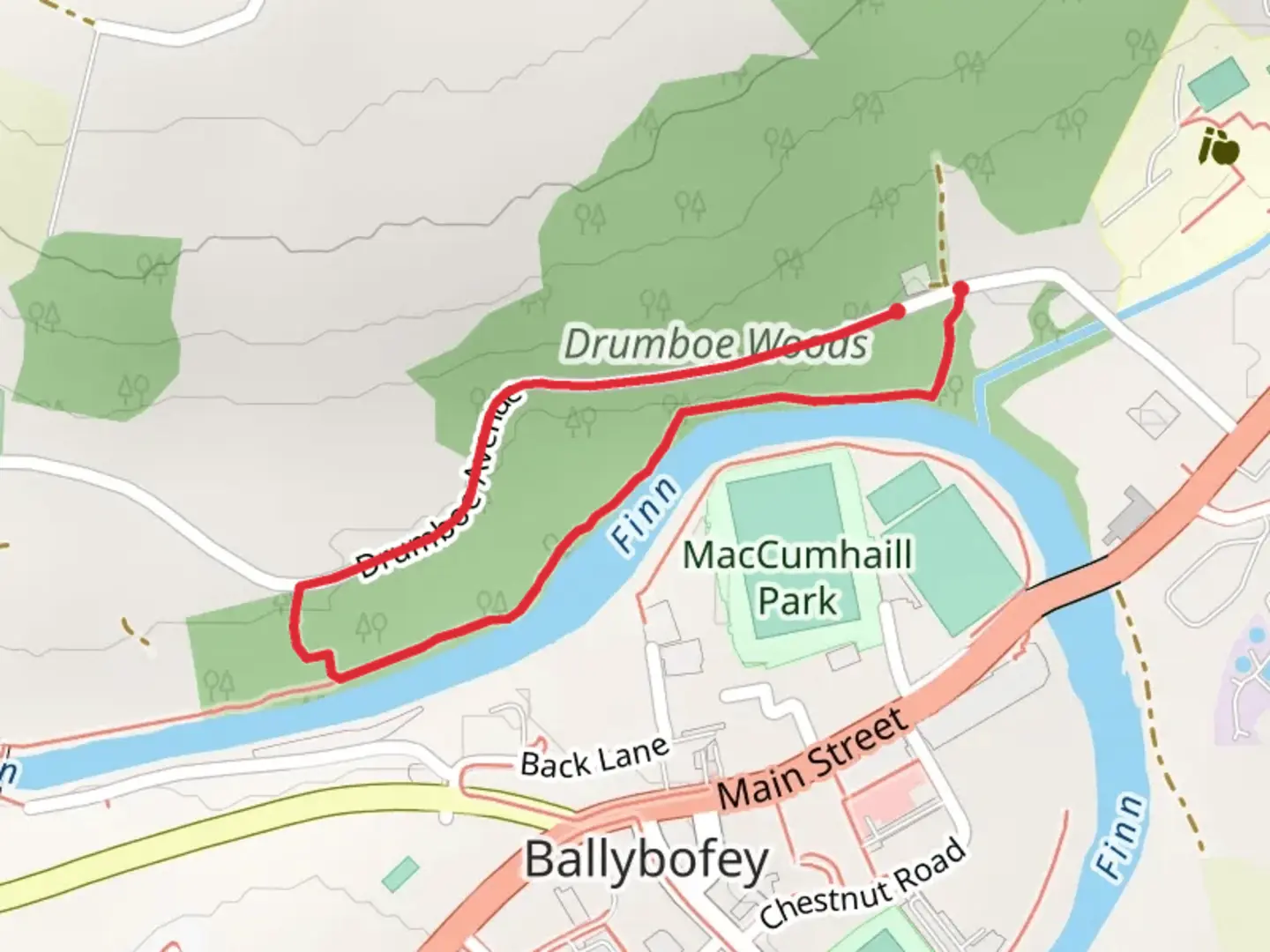 An image depicting the trail Drumboe Multi Access Trail and its surrounding area.