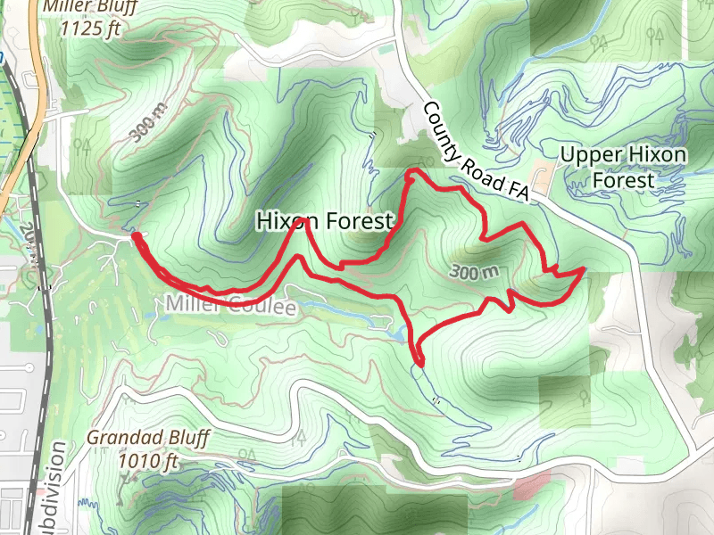 Bicentennial and Birch Loop Trail
