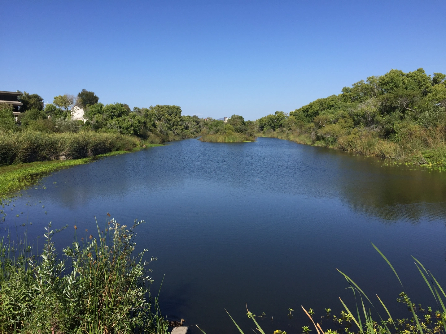 An image depicting the trail San Diego River Trail to Lakeside Avenue and its surrounding area.
