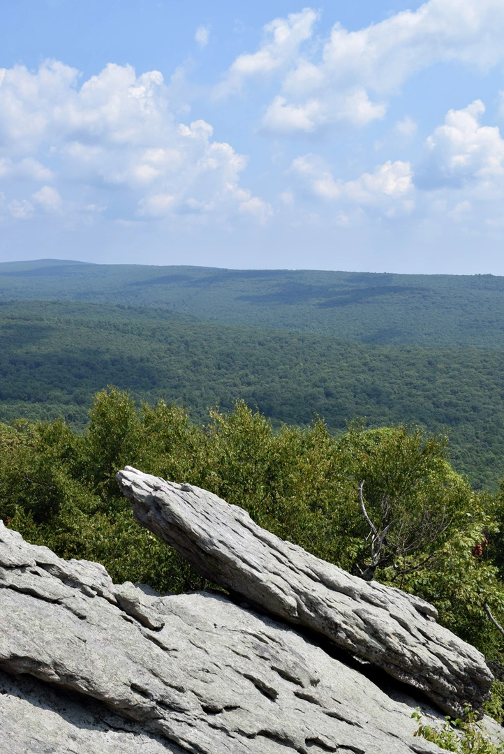 An image depicting the trail Buzzard Peak Trail and its surrounding area.