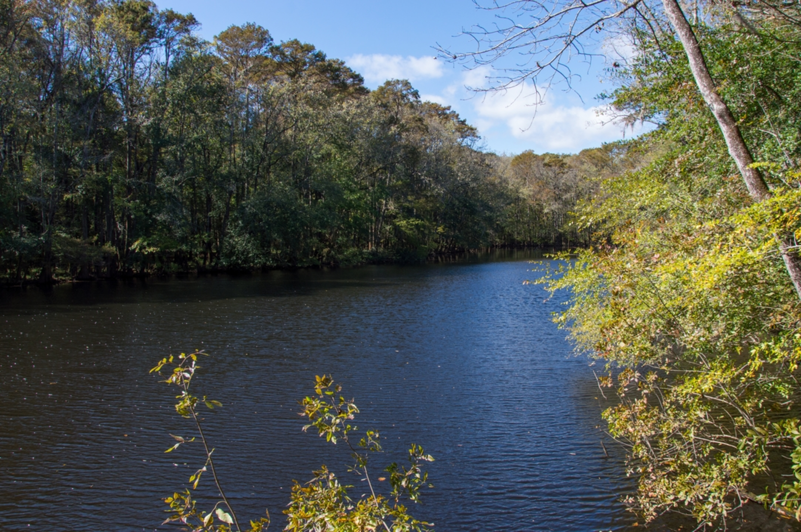 An image depicting the trail River Trail and its surrounding area.