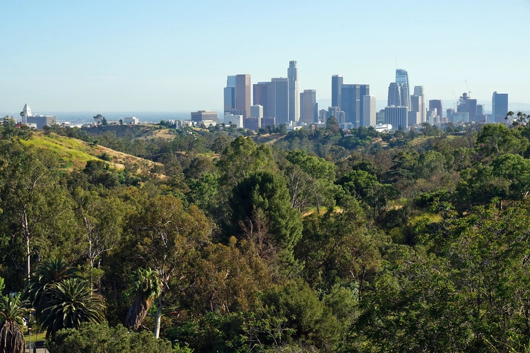 Portola and Angels Point Road Loop Trail