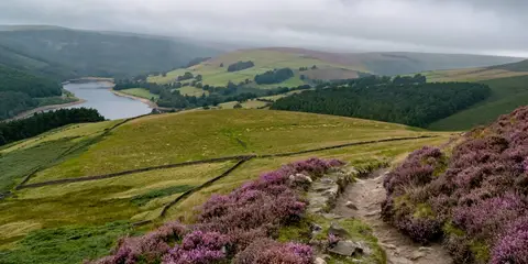 The Eastern Edges Walk