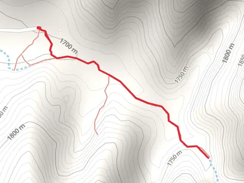 Red Hollow