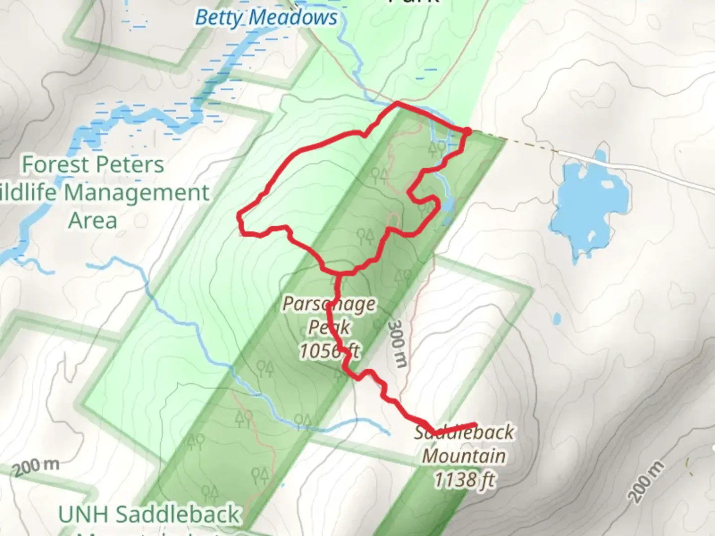 An image depicting the trail Parsonage Peak and Saddleback Mountain Loop Trail and its surrounding area.