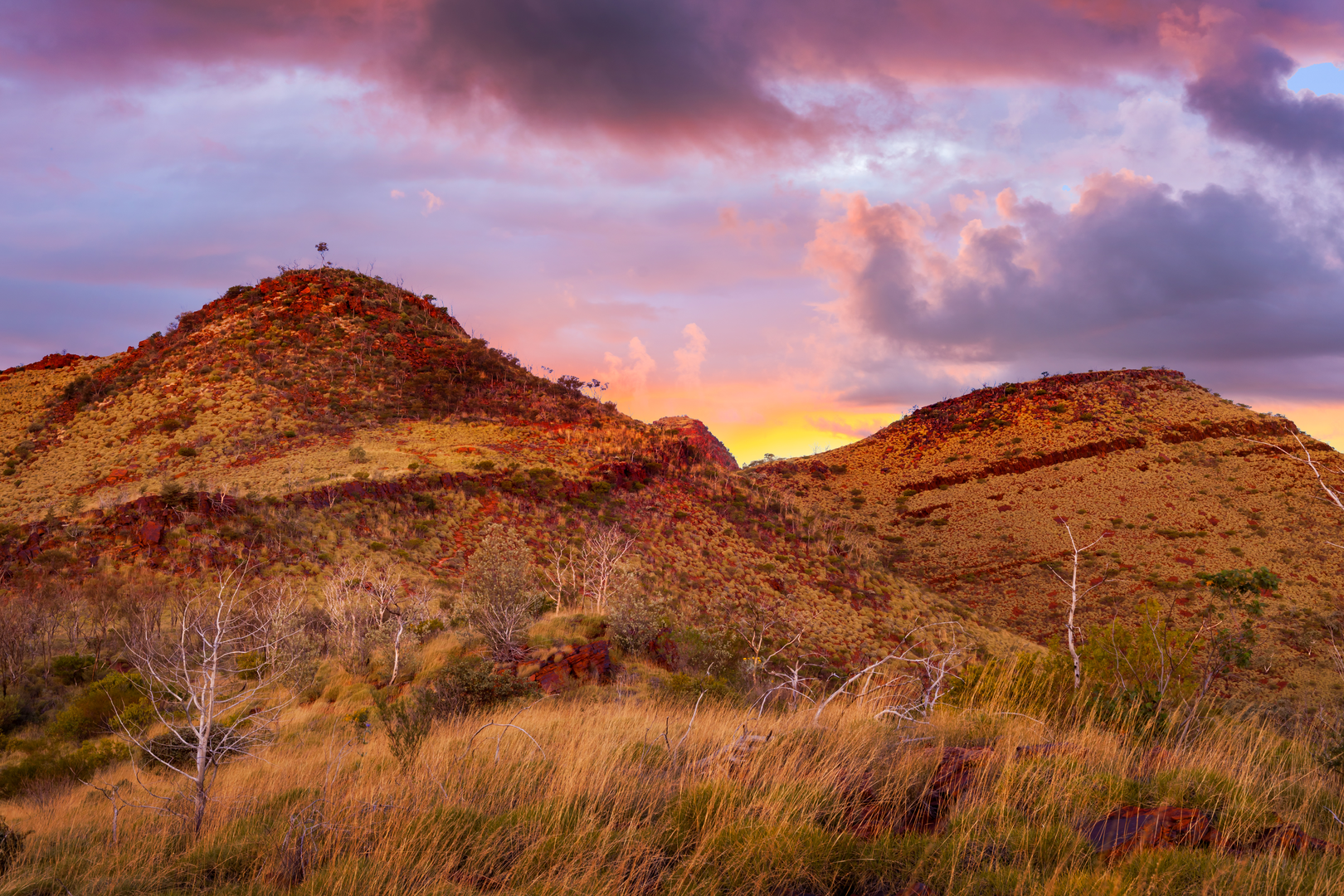 An image depicting the trail Mackay Highlands Great Walk and its surrounding area.