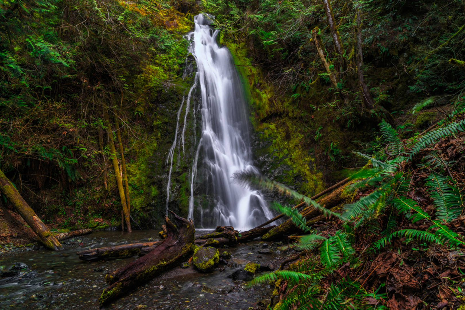 An image depicting the trail Cascade Rock Trail via Bypass Trail and its surrounding area.