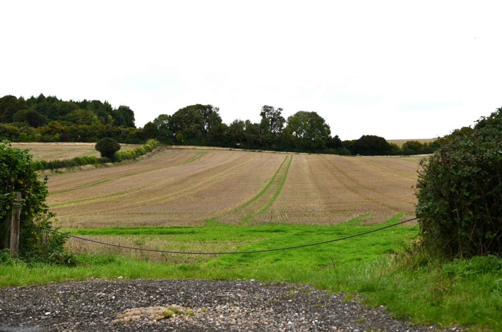 An image depicting the trail Little Hampden and Parslow's Hillock Loop and its surrounding area.