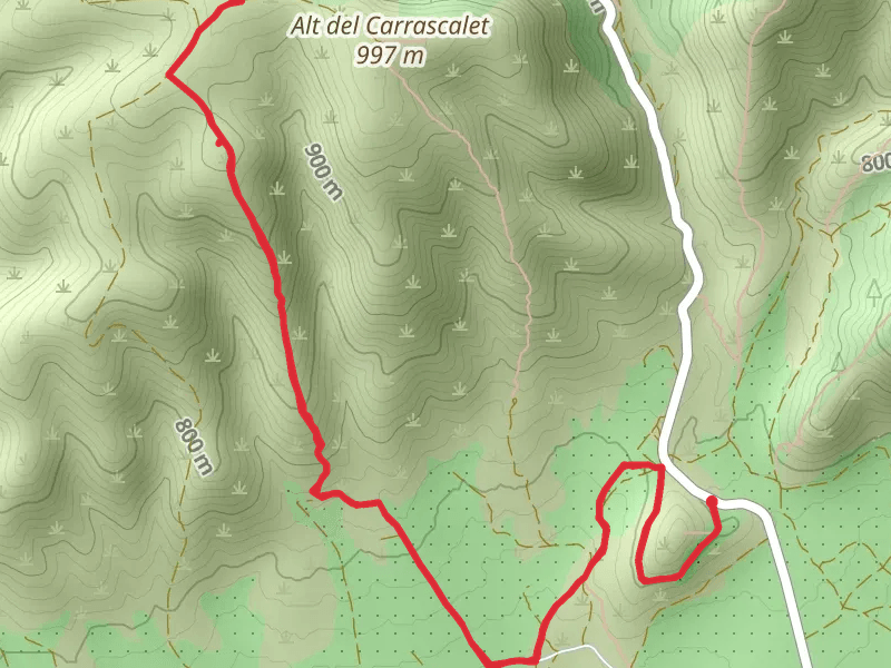 Path of the Llama de les Cabres SL CV 324
