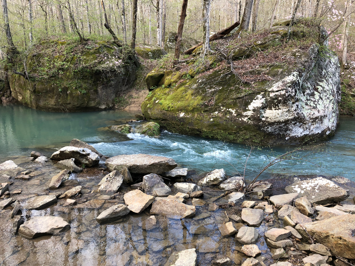 An image depicting the trail Sipsey Wilderness Loop and its surrounding area.