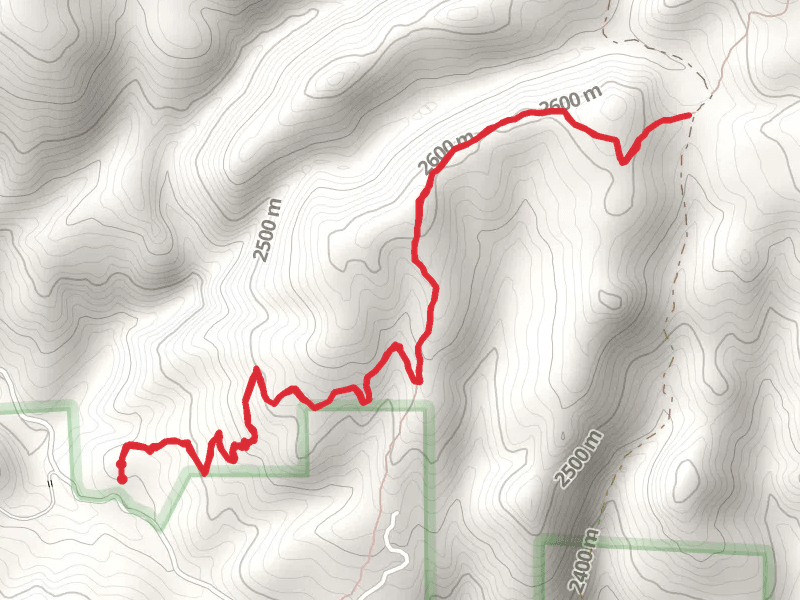 Lower Bear Trail