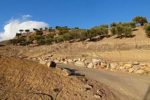 Cerro del Calvario - Chaplain - Turón