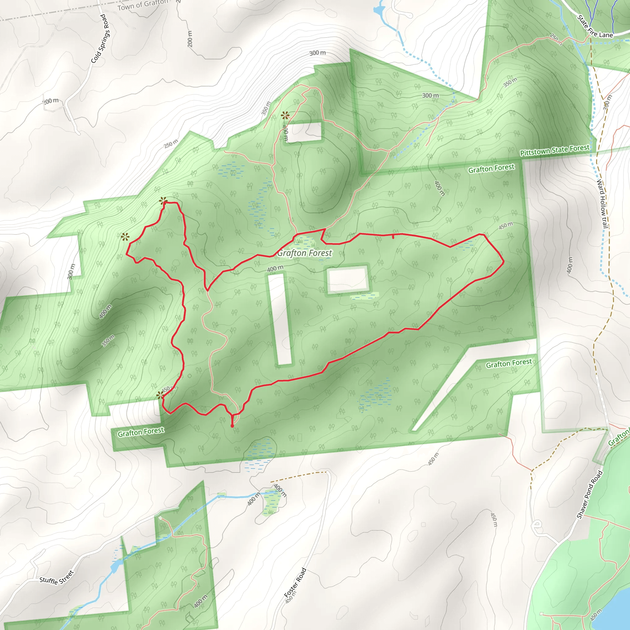 Highpoint Trail and Valley View Trail Loop from Grafton Forest Road mobile static map