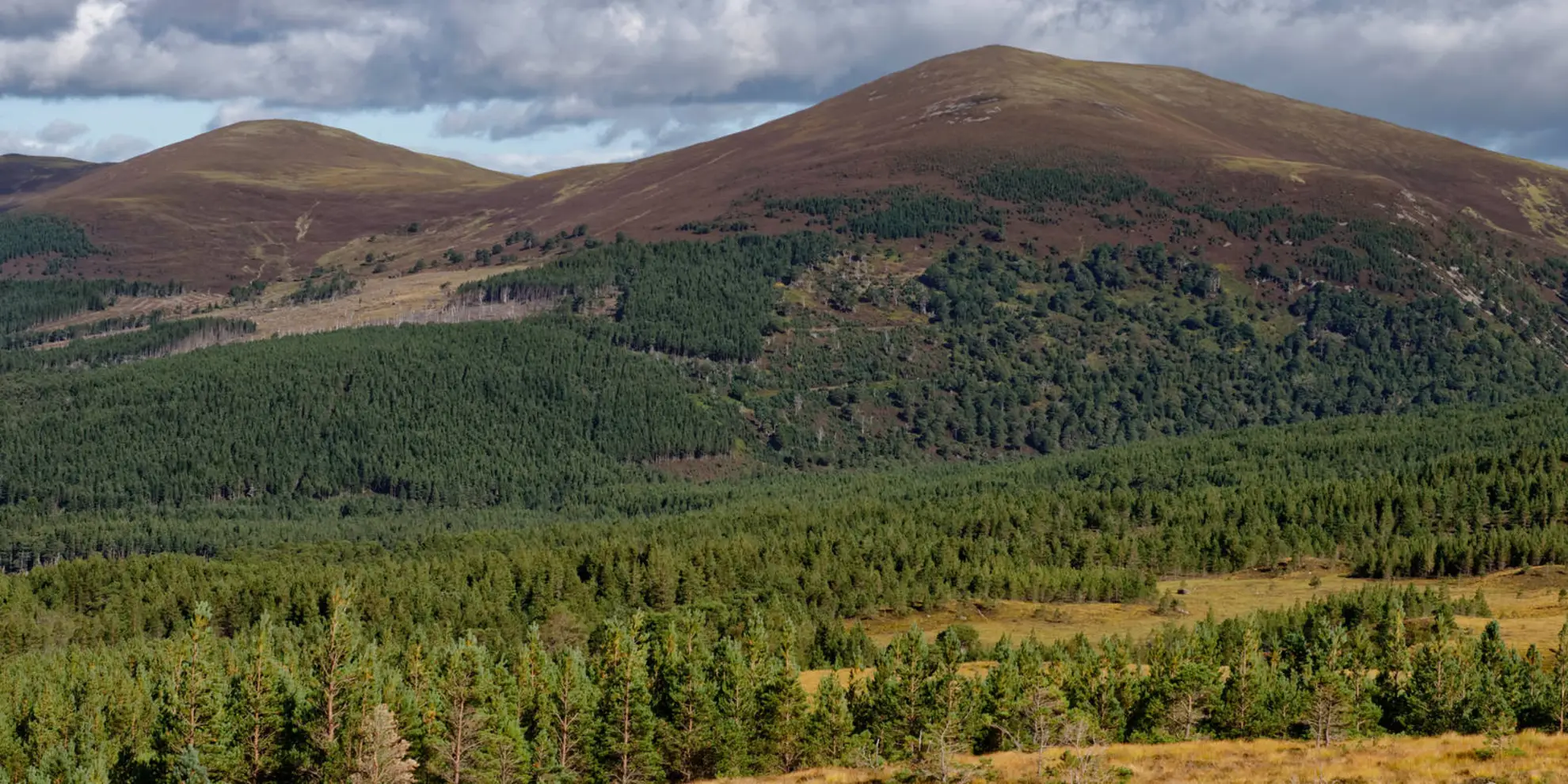 An image depicting the trail Meall a' Bhuachaille Loop From Glenmore Village and its surrounding area.