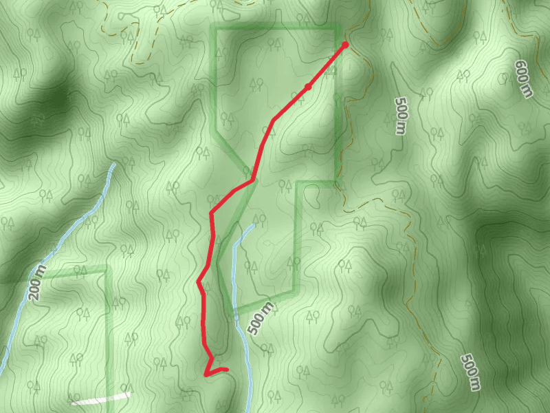 Nancy Creek Trail